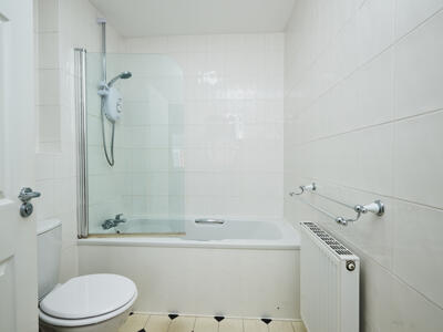 Picture 7